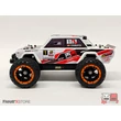 RC modellautó LADA VFTS - FANATX- elektro truggy RTR 4x4 4WD 2,4GHz Brushed 1:16 távirányítós rc autó (FanatXRacingMonster)